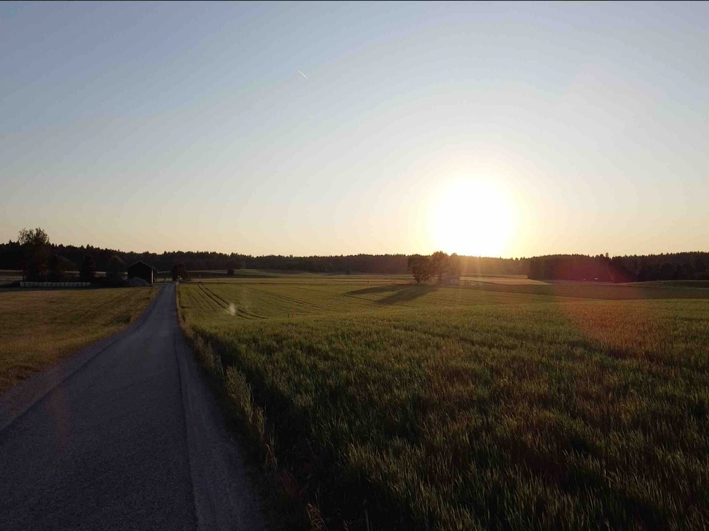Sonnenuntnergang-Wiese-klein Sonnenuntergang